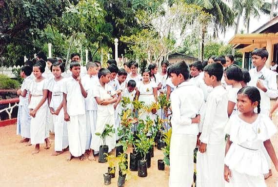 මූණමල්දෙණිය ශ්‍රී වන්දාකිත්‍යාරාමය විහාරස්ථානයේ දහම්පාසල වෙනුවෙන් මල් පැල හා පළතුරු පැල පරිත්‍යාග කිරීම