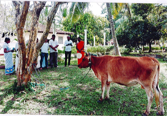 සී/ස අකරවත්ත ජනෝදාන සංවර්ධන සමූපකාර සමිතිය හා දහනැත්ගෙදර වසම භාර ග්‍රාම නිලධාරිතුමාගේ මග පෙන්වීම යටතේ මරණයට කැප වූ ගවයකු බේරා ගැනීම